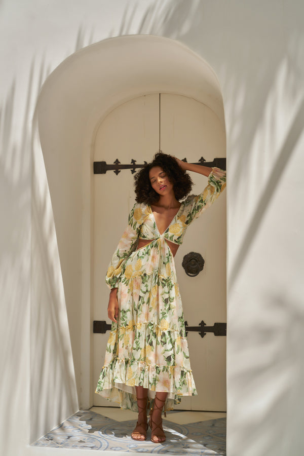 Floral Fantasy Sheer Maxi Dress